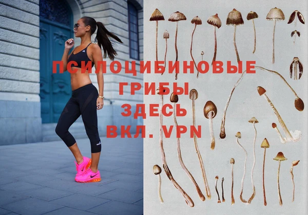 соль курить ск Армянск