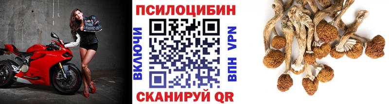 Галлюциногенные грибы прущие грибы  даркнет формула  Покровск  купить наркотик 